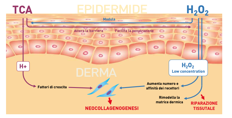 Biorivitalizzazione PRX per viso e corpo: come funziona